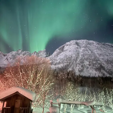 Апартаменты Stranda Senja