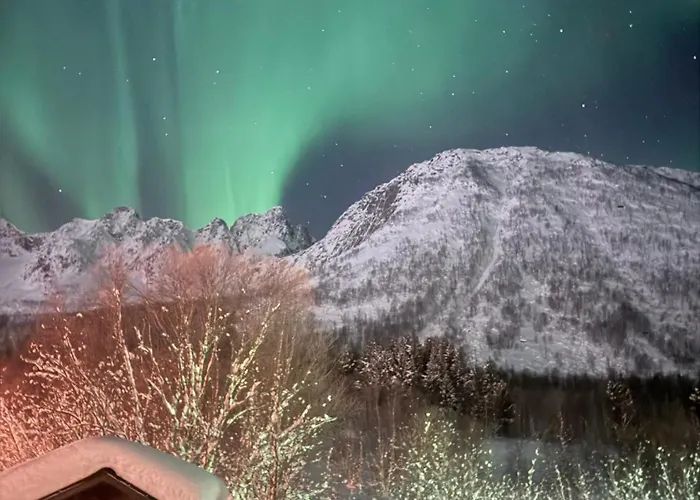 Appartamento Stranda Senja
